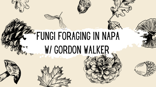 Fungi foraging with Gordon: A quick trip to Northern California