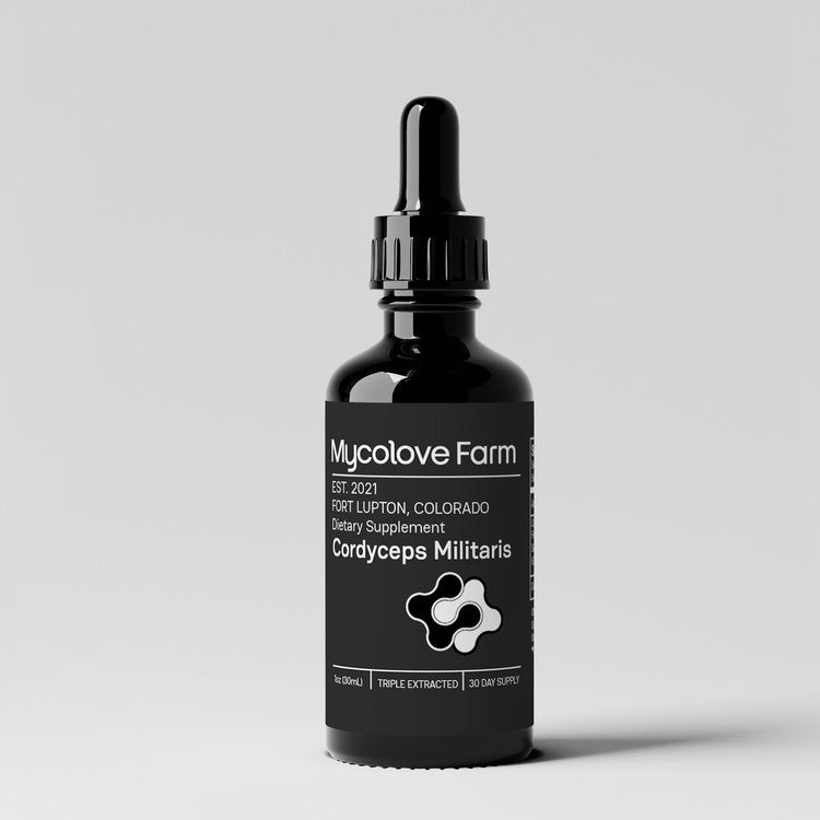 Cordyceps Militaris Tincture