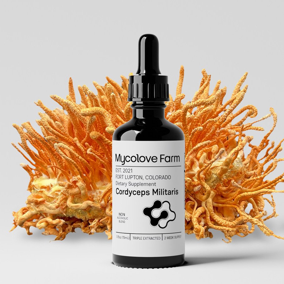 Cordyceps Tincture (Glycerine base)