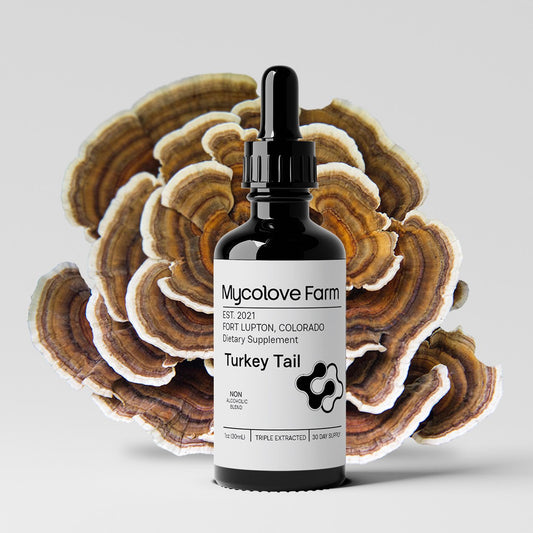 Turkey Tail Tincture (Glycerine base)